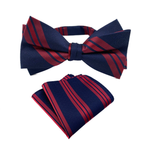 Navy Blue Burgundy Striped Bow Tie Set with matching pocket square